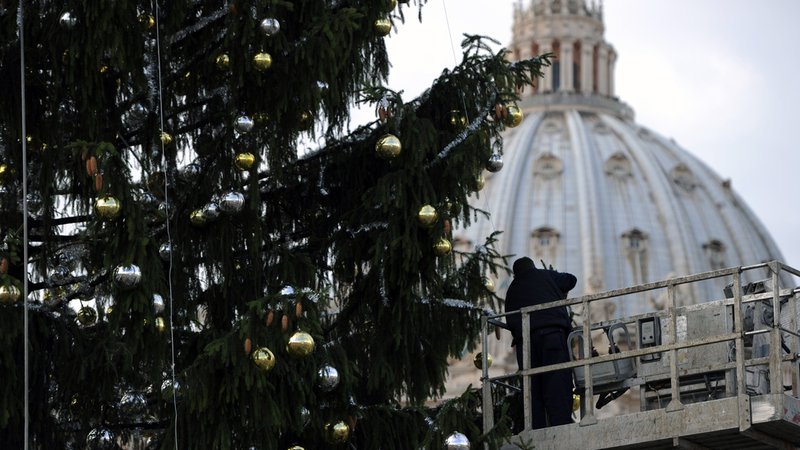 Fotografija: A worker decorates the Christmas tree of St Peter's square on December 12, 2011 at The Vatican. The tree is a 60-year-old and 30-meter-high spruce coming from a forest of the Transcarpathia region of Ukraine. AFP PHOTO / GABRIEL BOUYS
