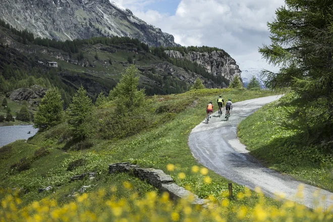 Ko se prvič vpneš v pedal, te zgrabi strah in pojavi se vprašanje, kaj se bo zgodilo, ko boš hotel sestopiti s kolesa. FOTO: Arhiv proizvajalca/Scott