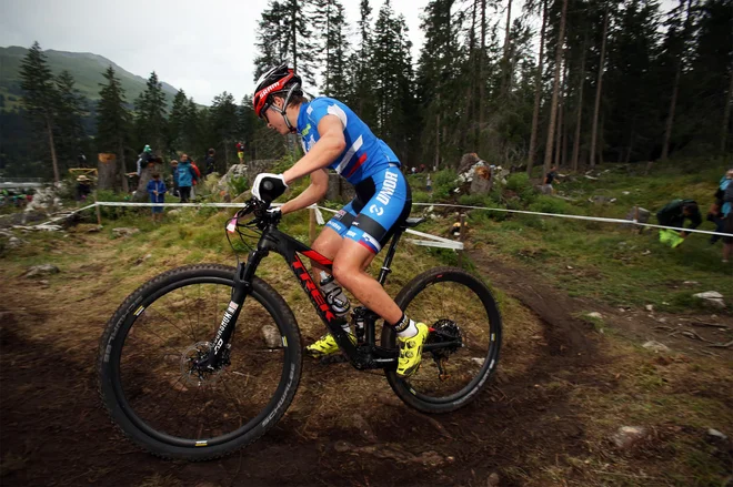 Difficult section on the clearance, with full of roots and rocks; photo by Grega Stopar