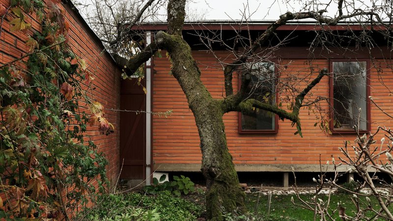 Fotografija: Hiše na Borsetovi so dvignjene nad tlemi nekdanjega glinokopa zaradi radona, strehe pa zaradi naravnega hlajenja.