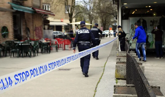 Policisti so osumljenca kmalu izsledili in prijeli. FOTO: Roman Šipić/Delo