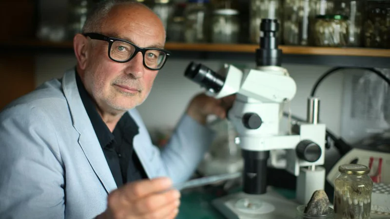 Fotografija: Prof. dr. Mihael Jožef Toman. FOTO: Jure Eržen/Delo