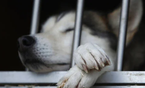 FOTO: Reuters