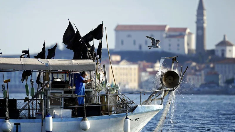 Fotografija: Evropska komisija je pozvala Hrvaško, naj do 17. aprila pošlje pisni odziv na slovensko pismo v zvezi s tožbo proti Hrvaški zaradi nespoštovanja arbitražne razsodbe o meji med državama, ki je bilo komisiji posredovano 16. marca v okviru 259. člena lizbonske pogodbe. FOTO: Matej Družnik/Delo