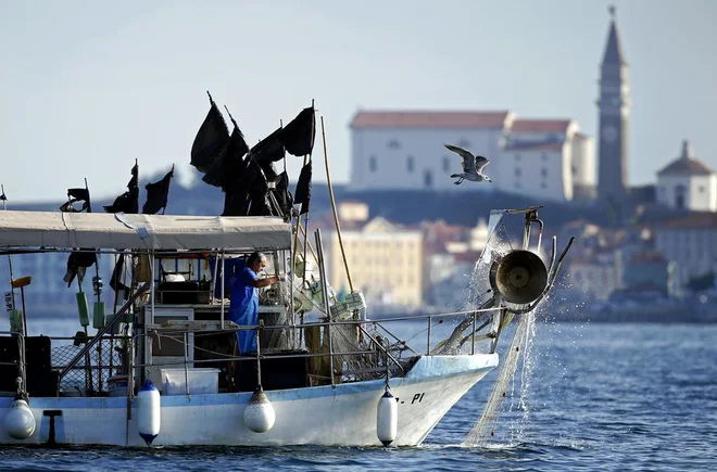 Evropska komisija je pozvala Hrvaško, naj do 17. aprila pošlje pisni odziv na slovensko pismo v zvezi s tožbo proti Hrvaški zaradi nespoštovanja arbitražne razsodbe o meji med državama, ki je bilo komisiji posredovano 16. marca v okviru 259. člena lizbonske pogodbe. FOTO: Matej Družnik/Delo