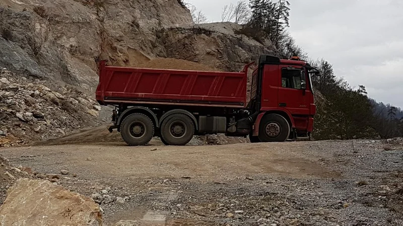 Fotografija: Pred pogozditvijo bi morali območje sanirati. FOTO: Bojan Rajšek/Delo