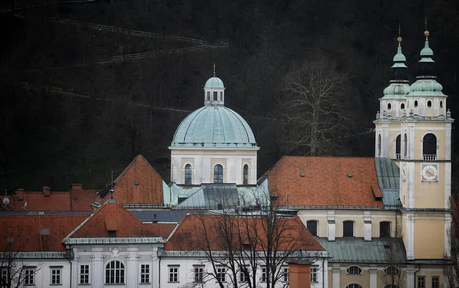 Sestavni deli Katoliške cerkve so v nekaterih primerih zelo ločeni od države. FOTO: Blaž Samec/Delo