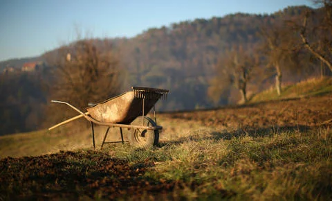 FOTO: Jure Eržen/Delo