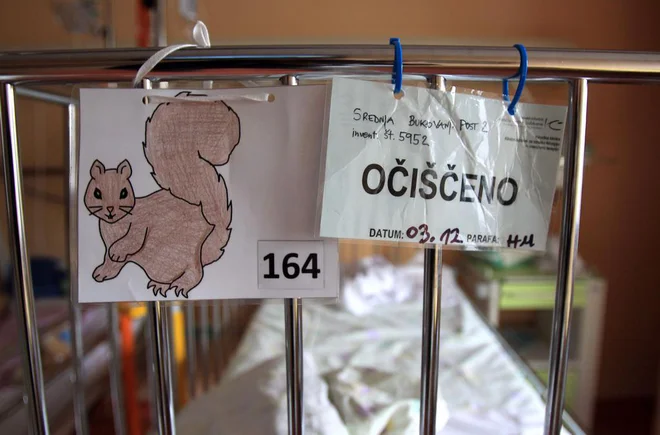 Operacij pri nas ni bilo veliko, zato bosta tuja kirurga prihajala v Ljubljano le enkrat na mesec.
