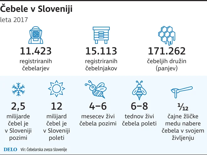Čebele v Sloveniji