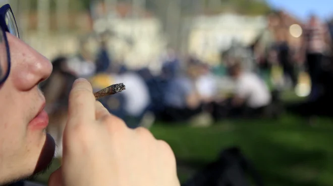 Marihuana marš 2018 na kongresnem trgu. FOTO: Roman Šipić/Delo