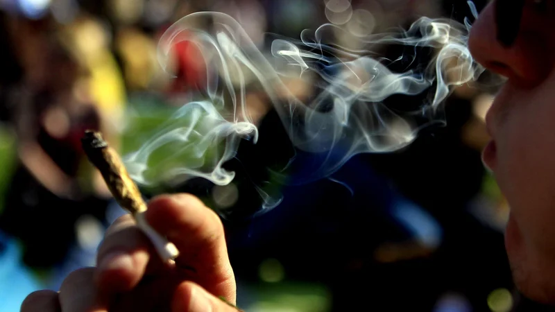 Fotografija: Marihuana marš 2018 na kongresnem trgu. FOTO: Roman Šipić/Delo