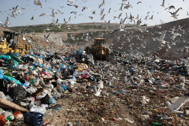 Ameriški in britanski znanstveniki so pred nekaj dnevi sporočili, da so po naključju ustvarili encim, ki je sposoben razgrajevati plastiko. Odkritje bi bilo lahko revolucionarno pri reševanju problematike vse večje onesnaženosti s plastiko. FOTO: Thanassis Stavrakis/AP