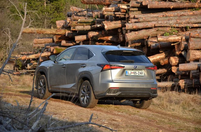 Hibridni pogon je verjetno še bolj zaščitni znak Lexusa kot matične znamke Toyota.
