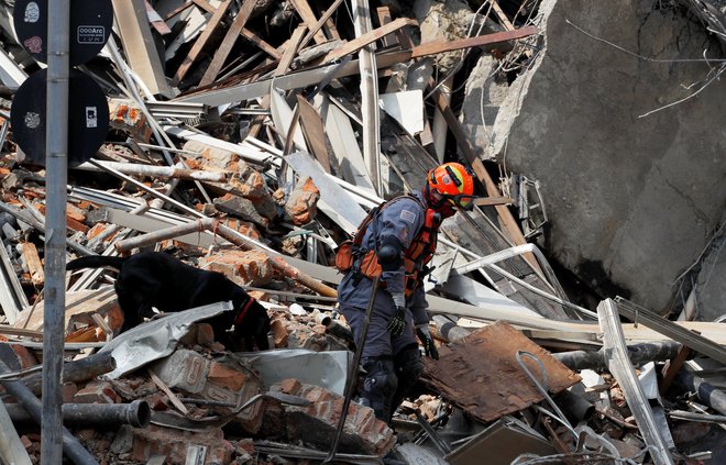 Reševalci skupaj z reševalnimi psi v ruševinah iščejo morebitne preživele.