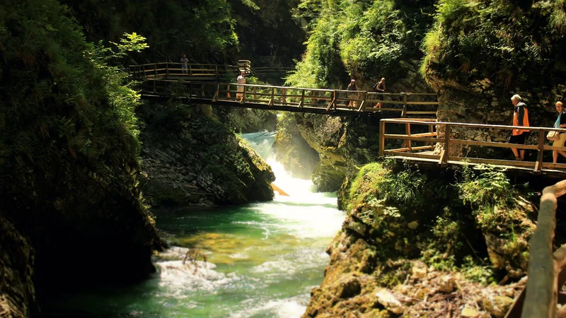 Fotografija: Z vstopnino v sotesko Vintgar obiskovalec pravzaprav ne plača ogleda znamenitosti, ampak uporabo parkirišča in urejenih poti. FOTO: Maja Fabjan