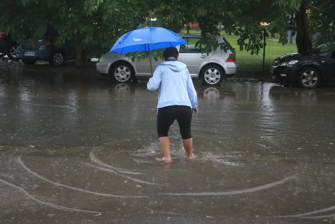 Fotografija je arhivska. FOTO: Tadej Regent/Delo