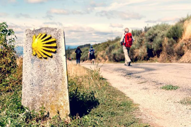 Fotografija je simbolična. FOTO: Shutterstock/