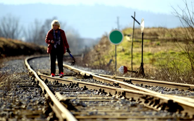 Tudi če zakon ostane, bo nova vlada verjetno poskušala doseči nekatere spremembe (izboljšave) v njem.&nbsp;FOTO: Roman Šipić
