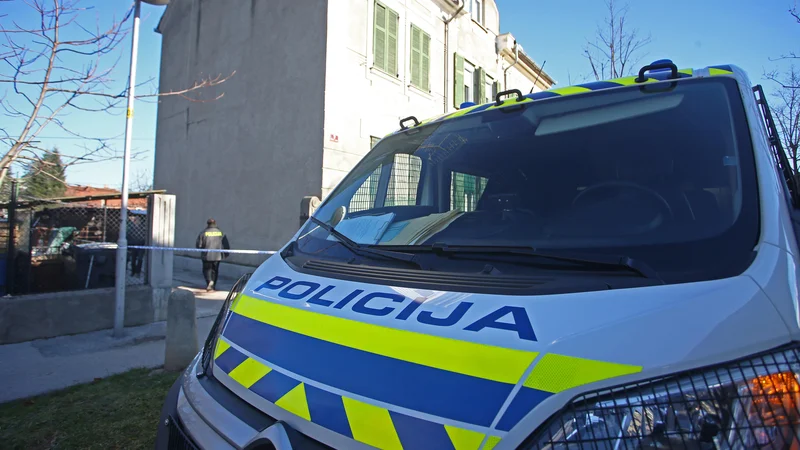 Fotografija: Voznik osebnega vozila se je v trčenju tako hudo poškodoval, da je na kraju nesreče umrl, voznik tovornega vozila pa ni bil poškodovan. FOTO: Tadej Regent/Delo