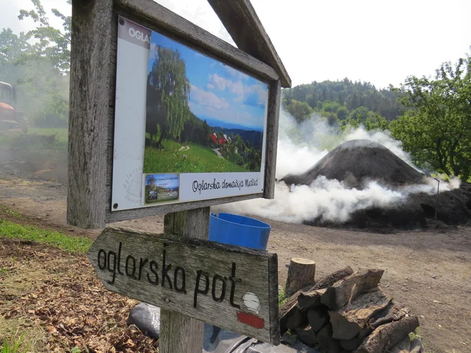 FOTO: Bojan Rajšek
