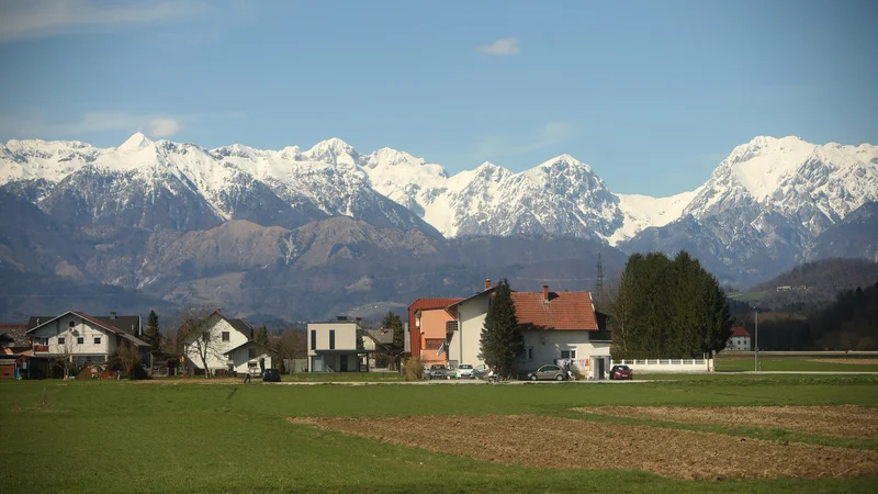 Fotografija: Lokalna ekološka pridelava hrane je tudi rešitev za skrajšanje živilskih verig in prilagoditev kmetijstva podnebnim spremembam, a se razvija prepočasi. FOTO: Jure Eržen/Delo