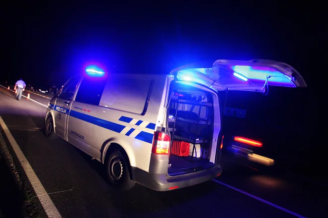 Policisti so 35- in 38-letnega osumljenca, oba državljana Bosne in Hercegovine, aretirali, jima odvzeli orožje in ju pridržali. Fotografija je simbolična. FOTO: Tadej Regent