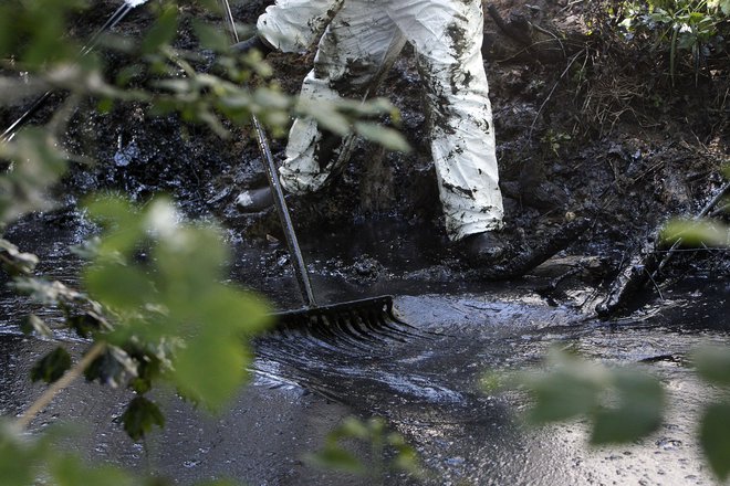 Zaradi gašenja z vodo in premajhnih lovilnih bazenov se je v Tojnico izlila velika količina strupenih snovi in gasilne vode, ki je potok katastrofalno onesnažila. FOTO: Leon Vidic/Delo