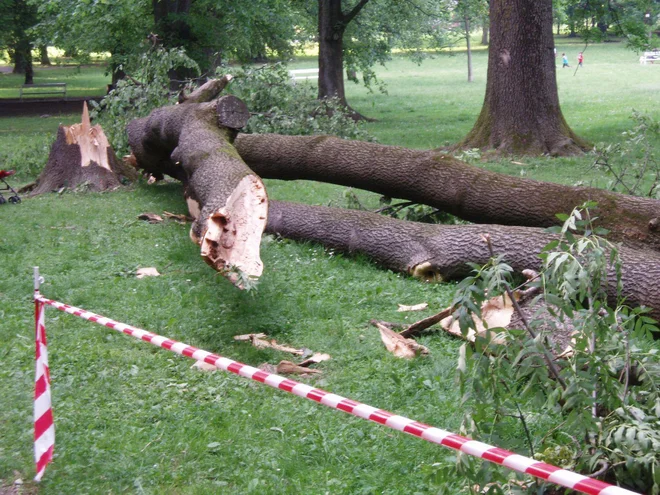Fotografija je simbolična. FOTO: Urban Červek