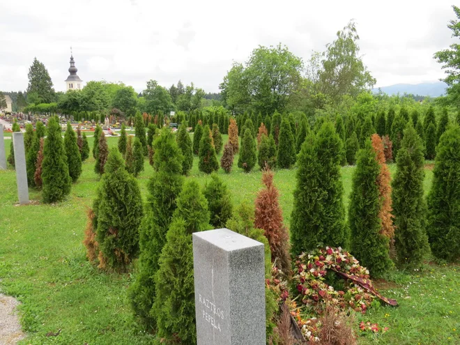 Črnomaljsko pokopališče v Vojni vasi. FOTO: Bojan Rajšek/Delo