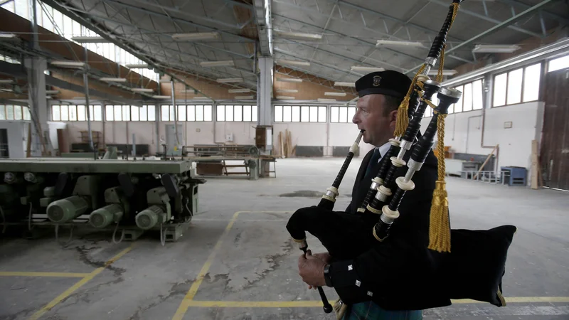 Fotografija: Škotsko družinsko podjetje BSW bo na Gomilskem zgradilo največjo žago v Sloveniji, ki bo letno razrezala 300.000 kubičnih metrov iglavcev, in proizvajalo lesene izdelke. Foto: Blaž Samec/Delo