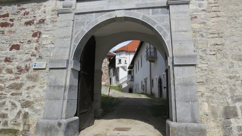 Fotografija: Država je grad delno obnovila, za zamenjavo dotrajane strehe in ureditev dvorišča je zmanjkalo denarja. FOTO: Bojan Rajšek/Delo