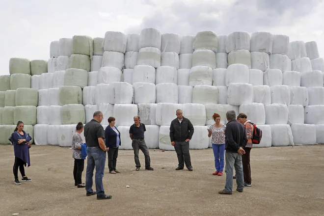 Gore stisnjenih in v plastično folijo zavitih odpadkov, ki jih je podjetje Publicus navozilo v neposredno bližino vasi Študa in Mala Loka. FOTO: Leon Vidic