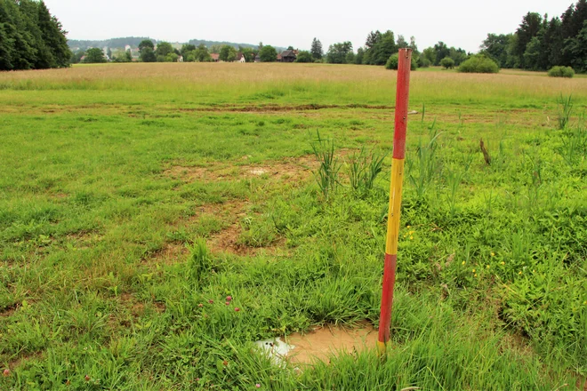 Travnik ob Centru varne vožnje AMZS Vransko, kjer slovensko podjetje LIS z Nizozemci načrtuje postavitev velikih rastlinjakov.<br />
FOTO: Brane Piano/Delo