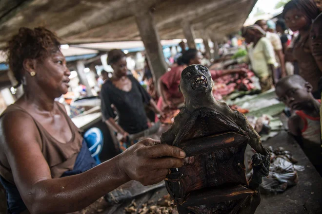 Meso v džungli ujetih živali (prodajalka na fotografiji drži prekajeno opico) je v Afriki razširjena hrana, vendar predstavlja tveganje za prenos bolezni na človeka. FOTO AFP