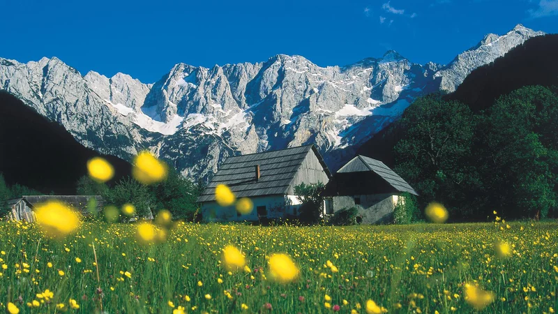 Fotografija: Idila pod okriljemKamniško-Savinjskih Alp in Karavank. FOTO Primož Šenk