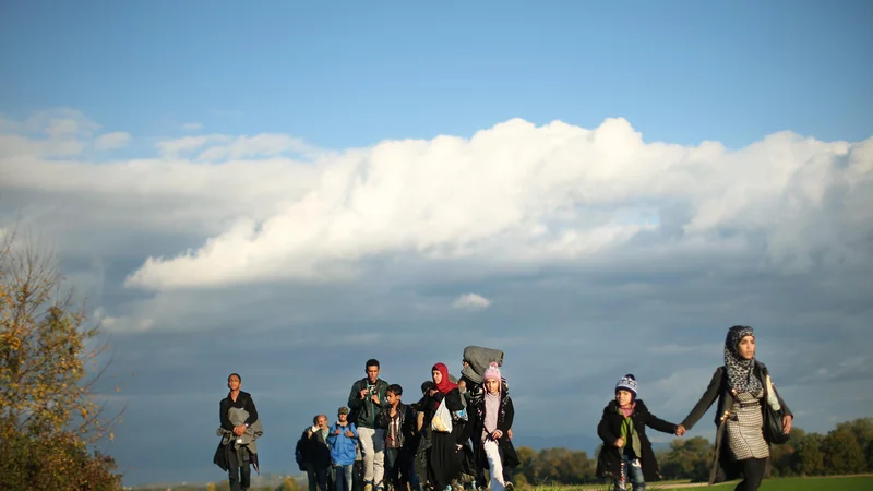 Fotografija: V Nemčiji so zaskrbljeni zaradi povečanja beguncev na balkanski poti, saj jih je v Bosno in Hercegovino menda prišlo dvanajstkrat več kot v istem obdobju lani. FOTO: Jure Eržen/Delo