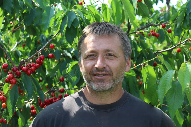 Radovan Jelina želi učinkovitejša škropiva. FOTO: Blaž Močnik