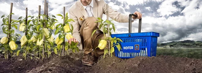HOFER Tržnica FOTO HOFER