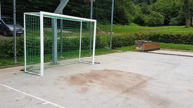 Gol, ki je bil usoden za Alena. FOTO: Tanja Jakše Gazvoda