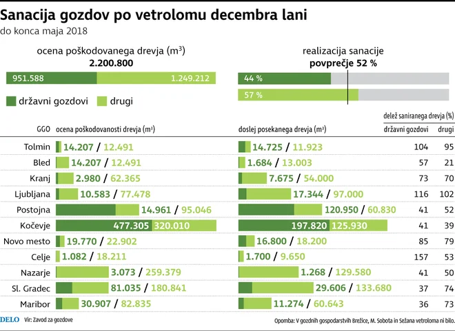 Sanacija gozdov po vetrolomu decembra lani. FOTO: Delo