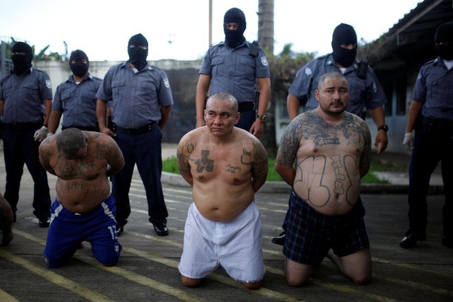 Tolpa ima v Salvadorju poseben zapor, v katerega si ne upa nihče drug.
