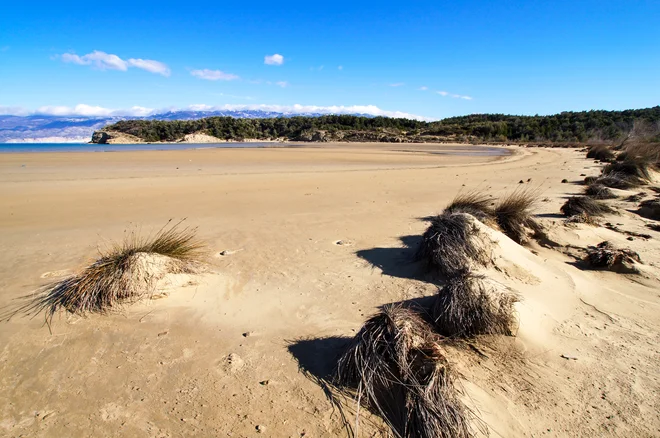 Sahara – ko odvržete vsa oblačila. FOTO: Beachrex.com