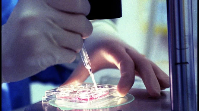 S pomočjo napredne tehnologije primere rešujejo tudi po več desetletjih.&nbsp;