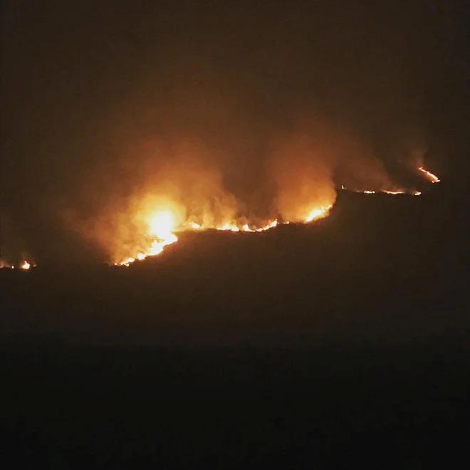 Zaradi širjenja ognja so sprejeli več ukrepov, med katerimi je tudi evakuacija bližnjih domov. FOTO: Reuters