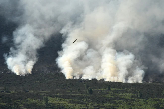 Z ognjenimi zublju se bori 50 gasilcev z desetimi vozili, ki se skupaj z drugimi pristojnimi službami v dimu in vročini soočajo z izjemno težavnimi razmerami. FOTO: AFP