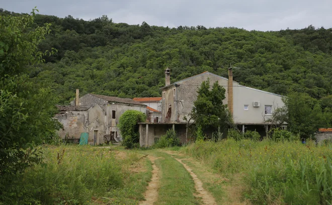 Ljudje odhajajo, vasi se praznijo, vse več je grmovja, divjih prašičev in srn. FOTO: Jože Suhadolnik