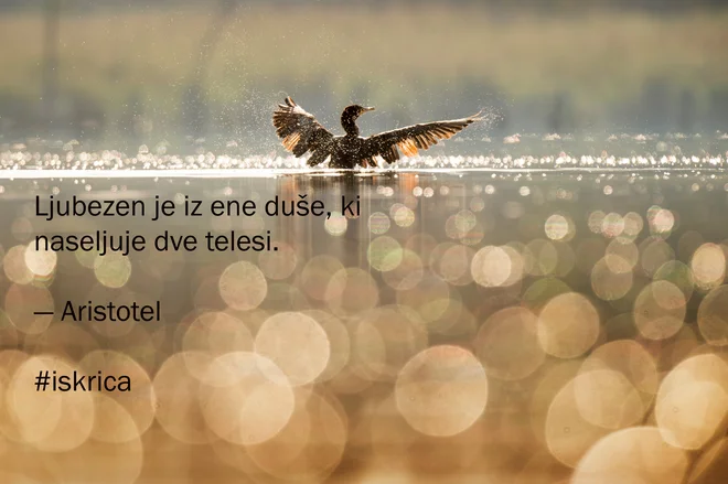 Petkova iskrica dneva. Grafika: Delo