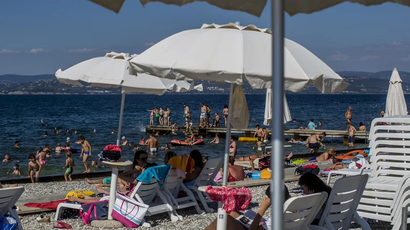 Fotografija: V agenciji Palma so letos prodali vsaj 30 odstotkov več aranžmajev kot lani. FOTO: Voranc Vogel/Delo