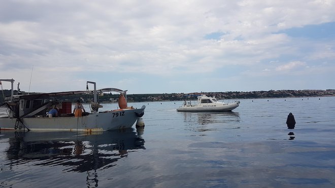 Zasoljene školjke, če jih morata pomagati pridelovati dva policijska čolna. FOTO: Eugenija Carl/TV Slovenija